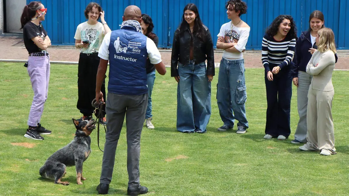PERROS GUIA5