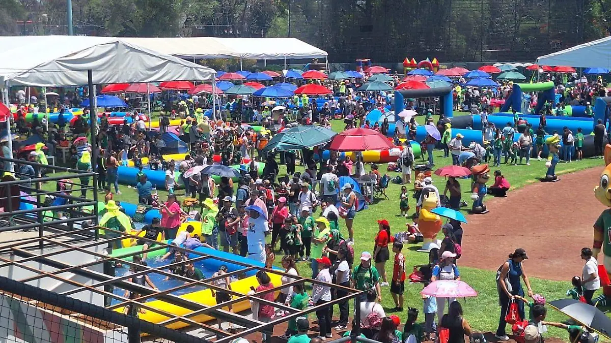 WhatsApp Image 2026-04-27 at 12.19.04