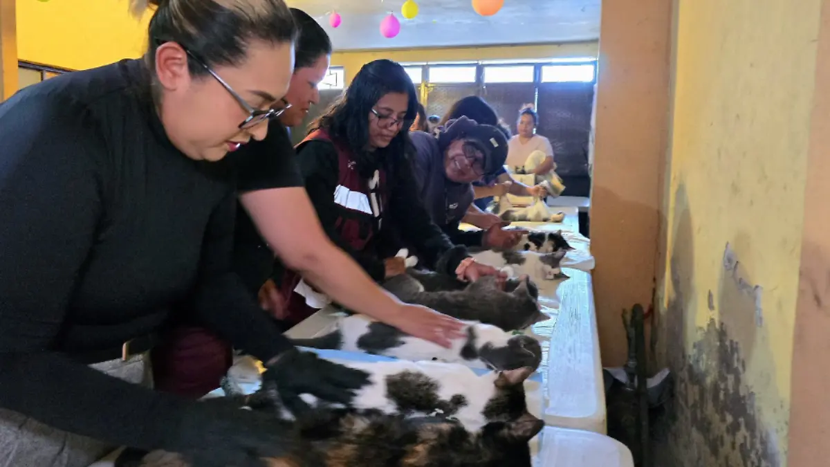 Captura de pantalla 2026-04-27 182624