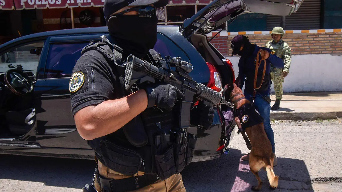 939380_Operativo Seguridad Petaquillas_web