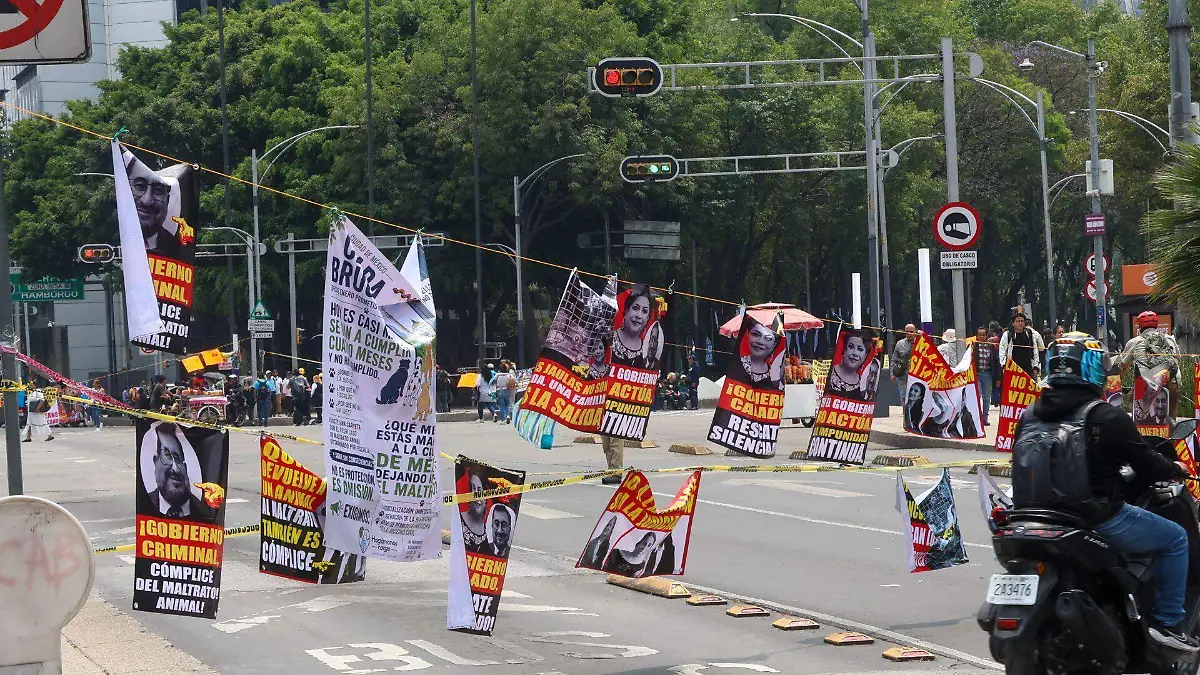 1078736_Protesta Animalistas_web