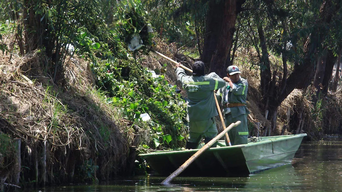 267546_Xochimilco Contaminacion_web (1)