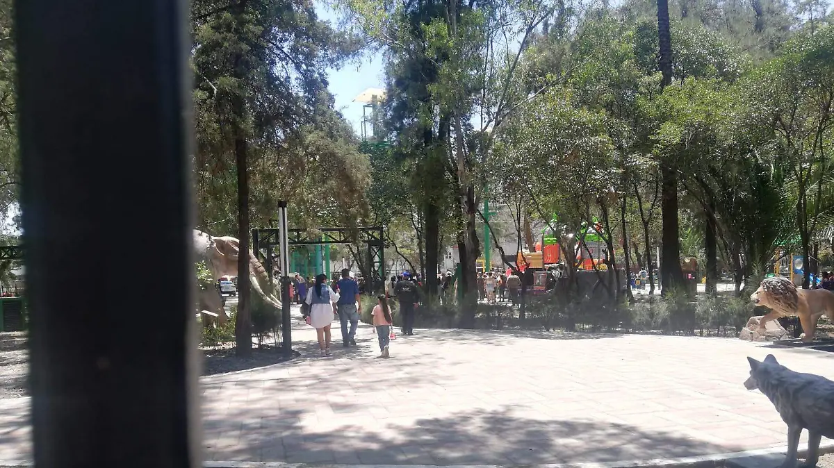 PARQUE GAM2