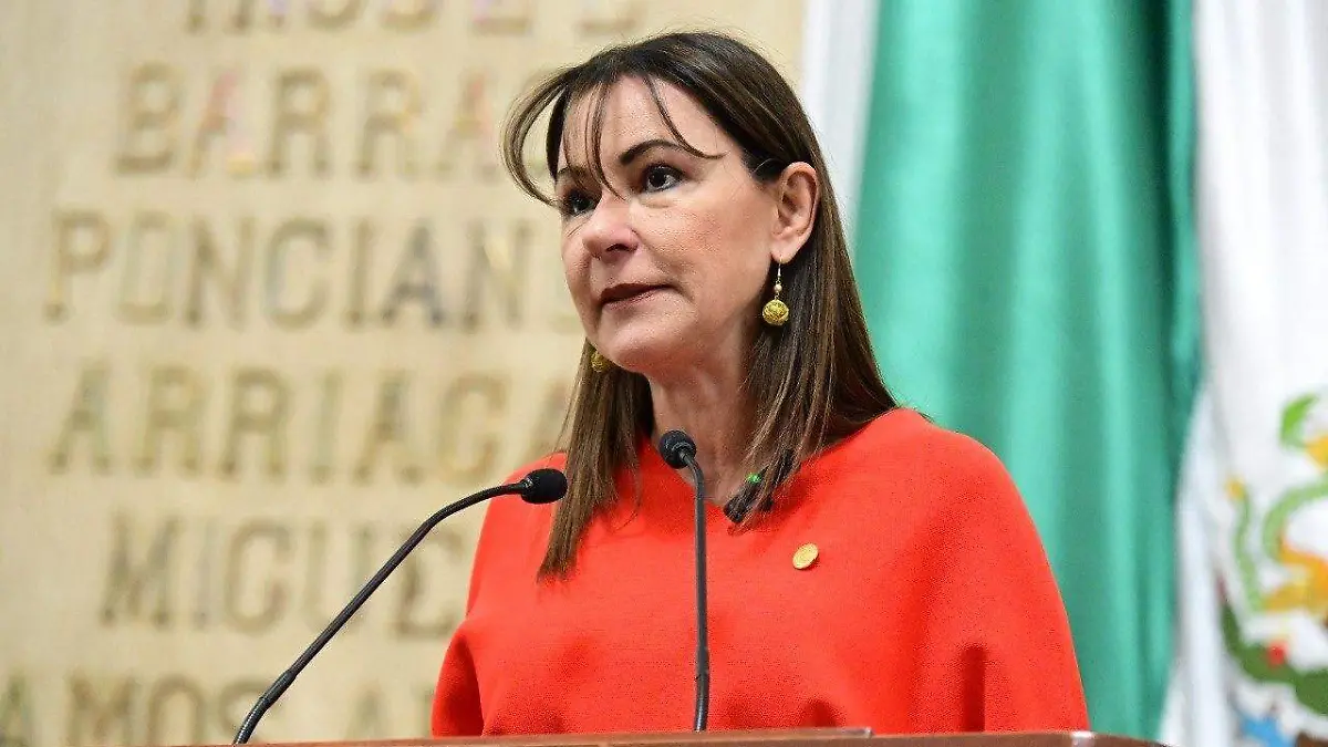 Diputada Leonor Gómez Otegui