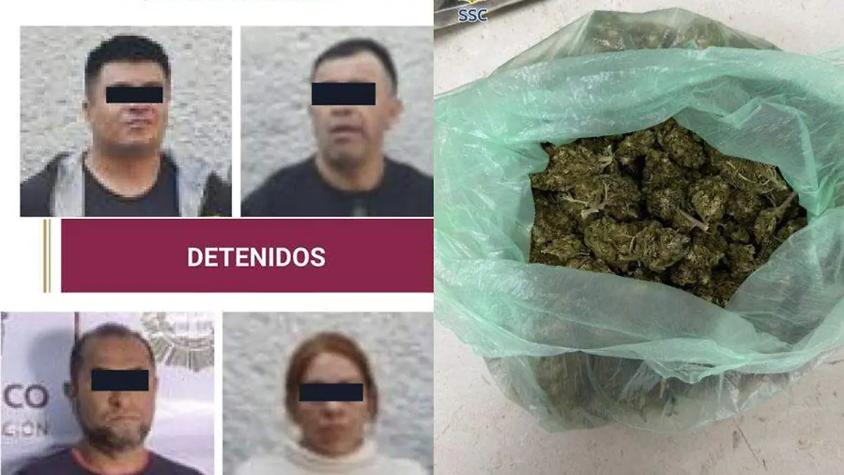 CATEOS VENUS1