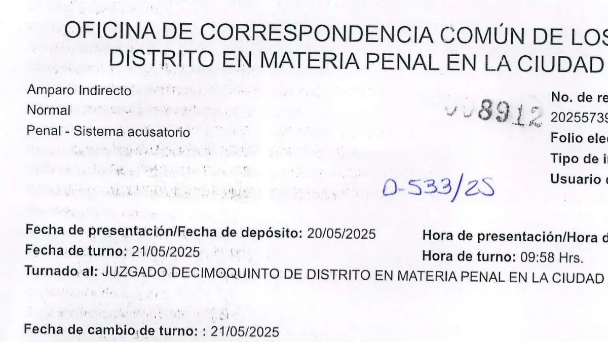 Sistema penal  (1)