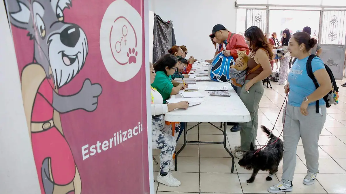 gobierno de Neza