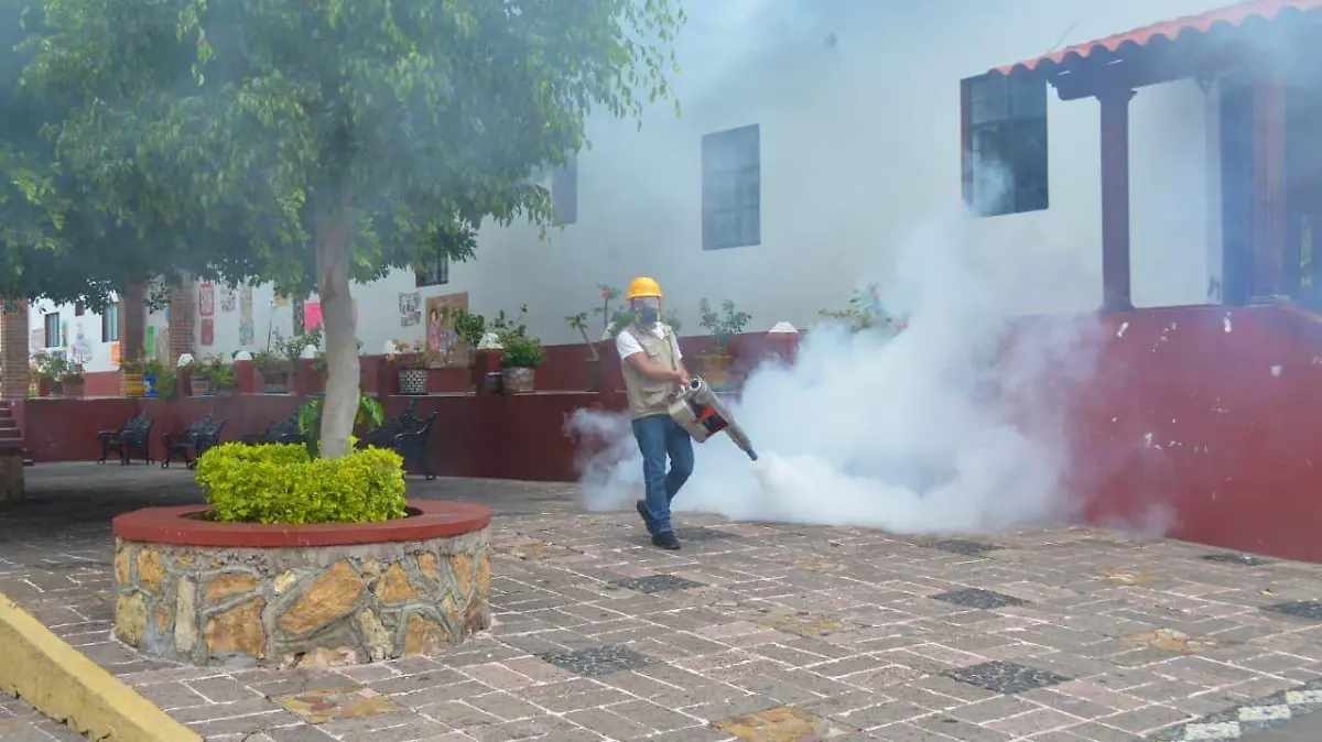 DENGUE CHIKUNGUYA1
