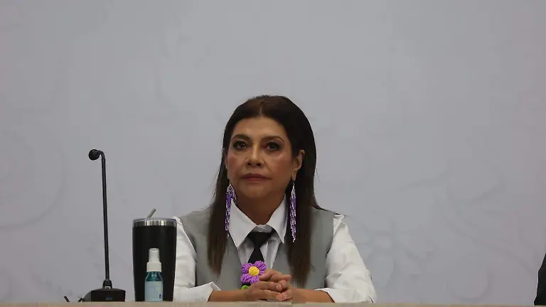 Conferencia sobre caso Ximena y Pepe (2)