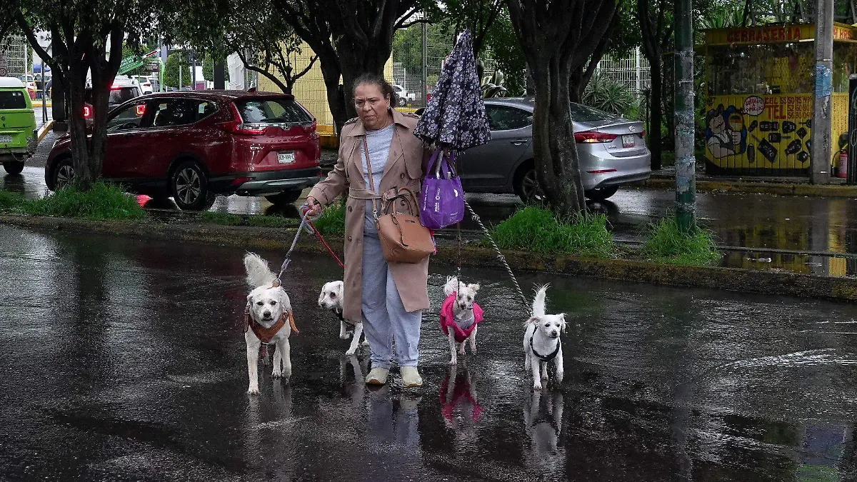 1040040_Afectaciones lluvia_web