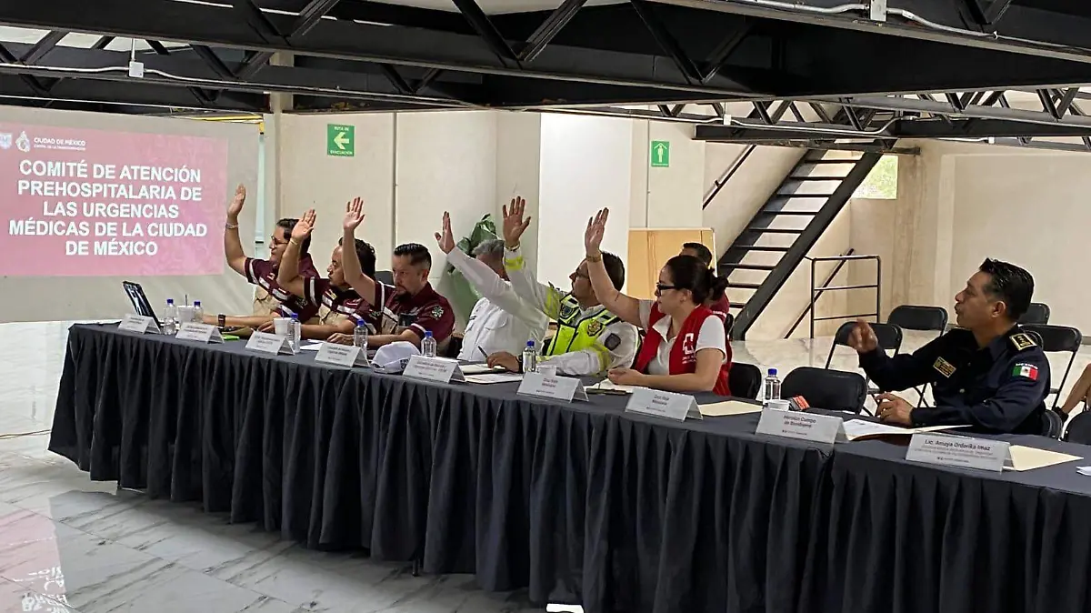 comite mundial cortesía Secretaría de Salud Pública CDMX