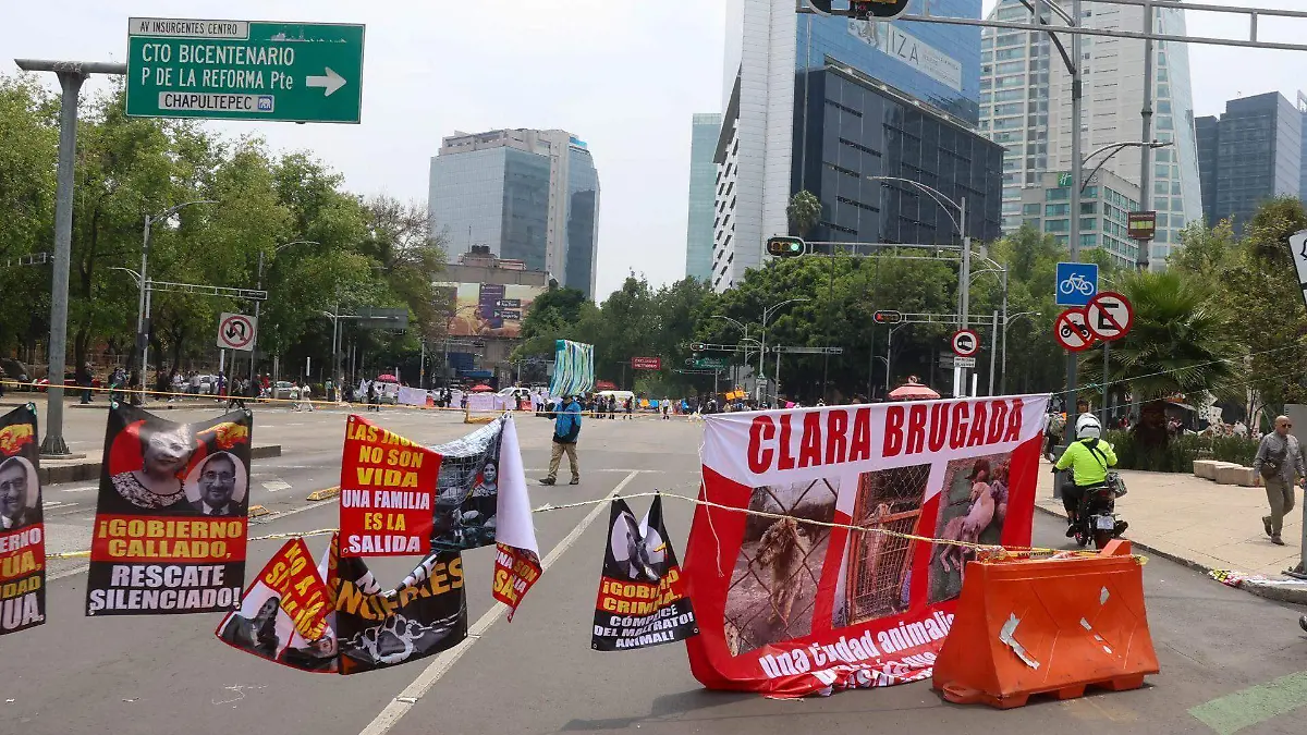 1078735_Protesta Animalistas_web
