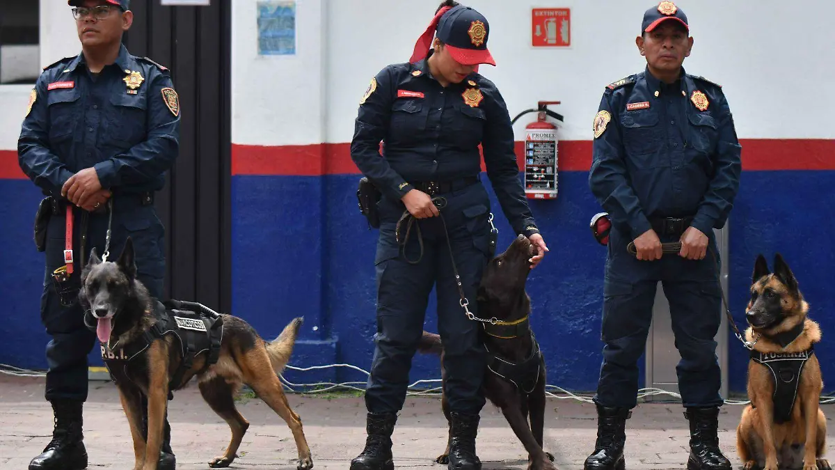 1039527_28 Aniversario Unidad Canina_web