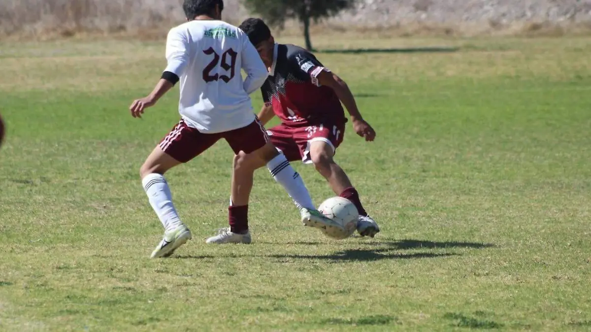 Tecámac y deporte