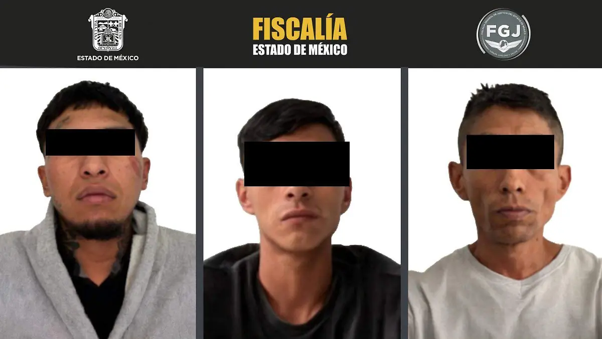 RATAS DE COLECTIVAS1