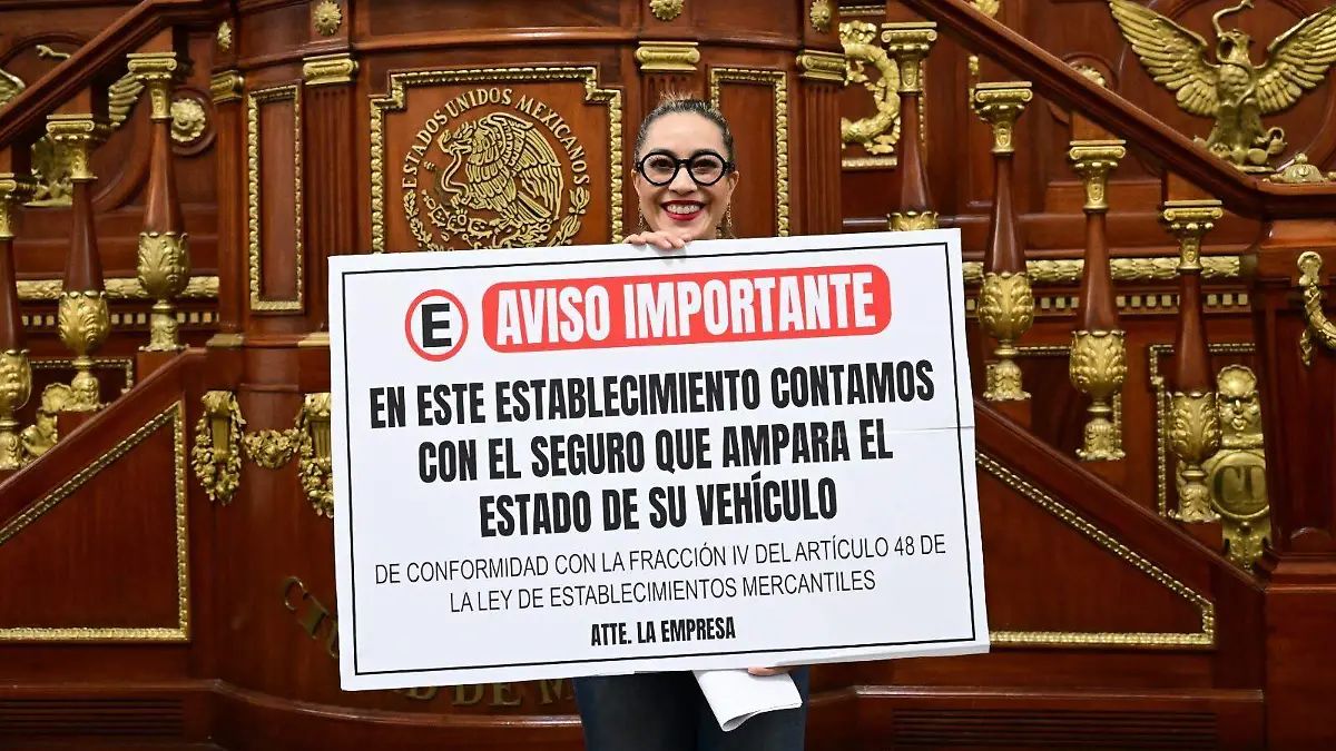 ESTACIONAMIENTOS1