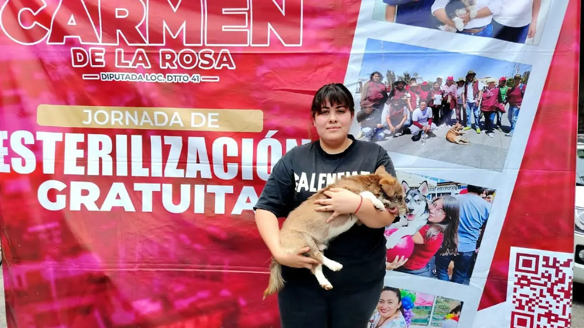 Captura de pantalla 2026-05-31 150400
