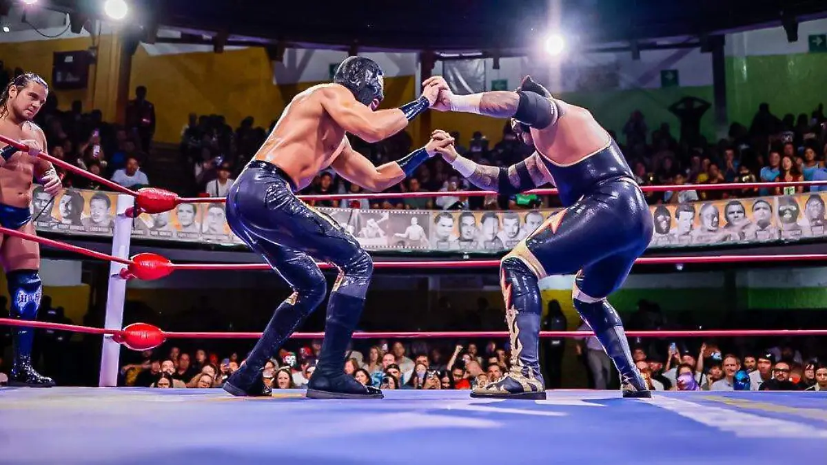 faldon luchas