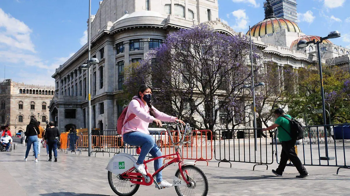 858729_Aniversario Ecobici_web