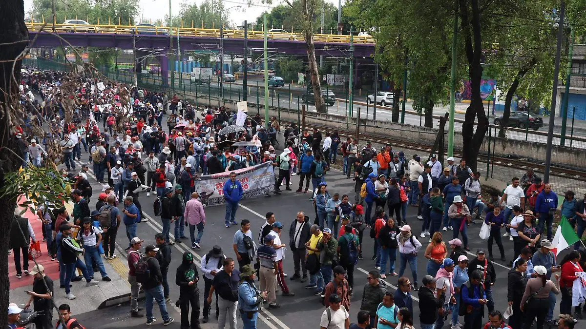 MARCHA MELTON7