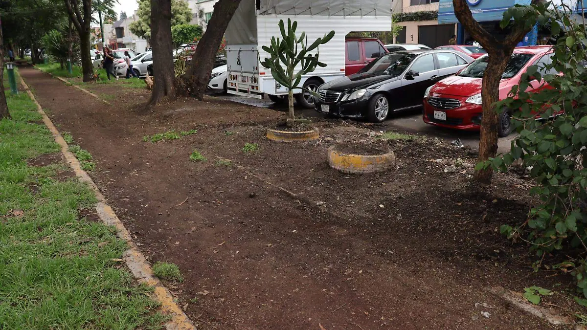 Parques Coyoacán  (1)