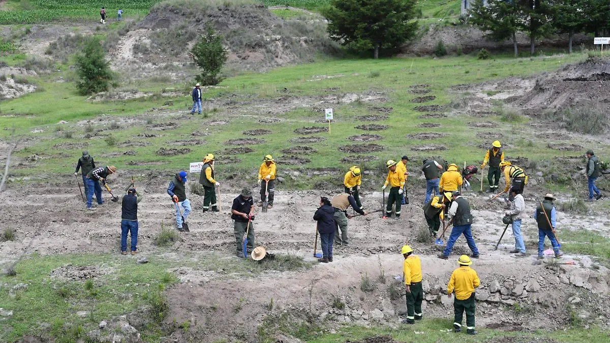Campaña de Restauración Hidrológico-Forestal 2026