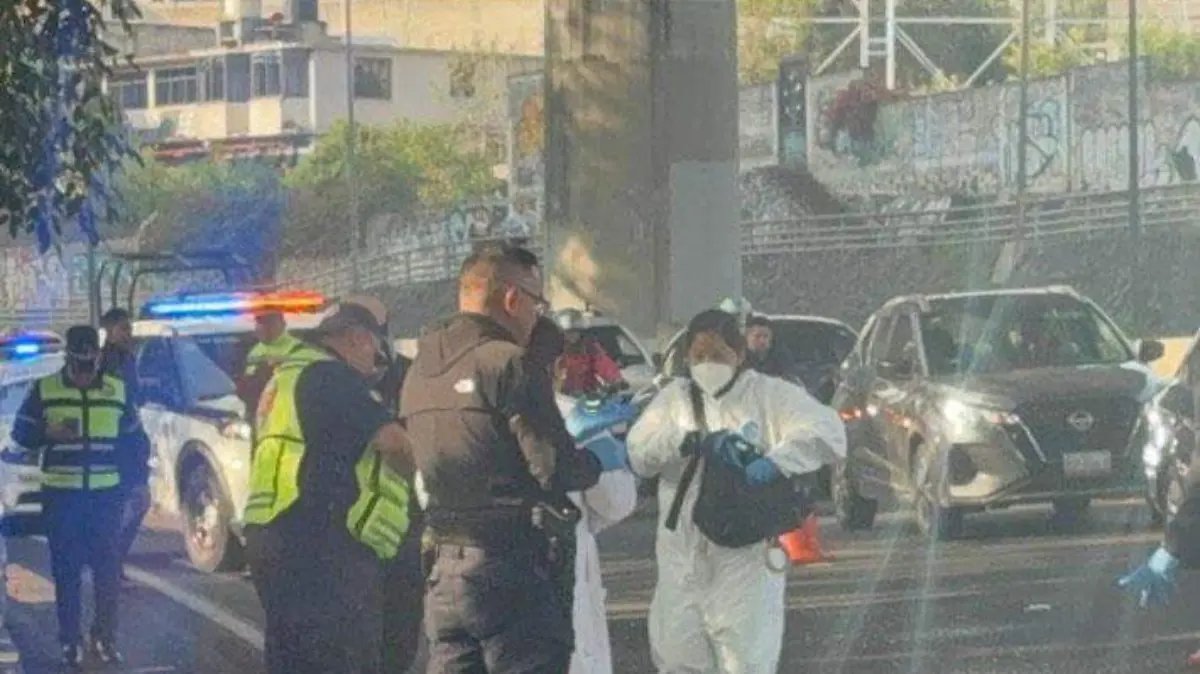 ATROPELLADO TLALPAN-ok