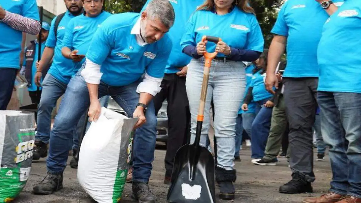 Baches MH
