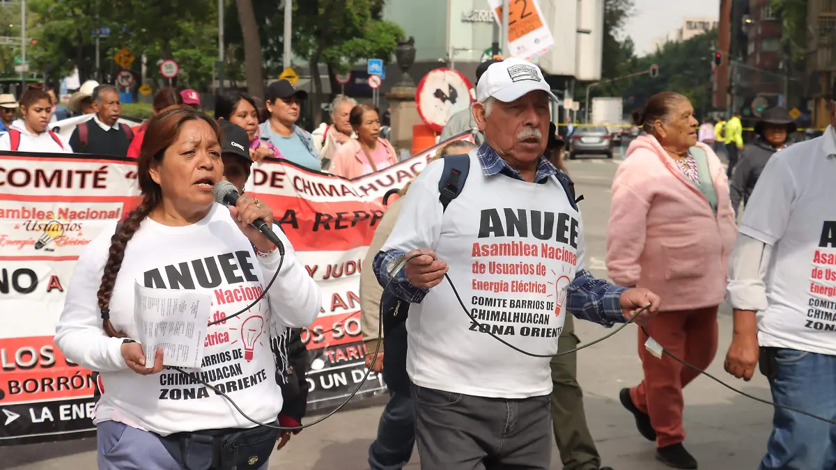 Marcha ANUEE