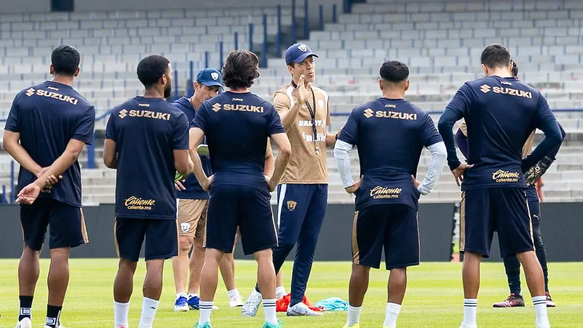 SOLARI PUMAS