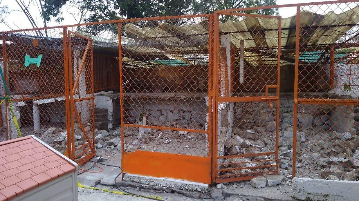 Daños al refugio Franciscano (5)