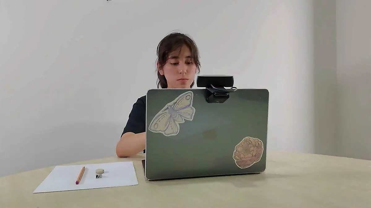 1036599_Examen de Ingreso_web