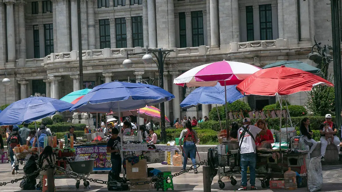 991222_Ambulantes Palacio de Bellas Artes_web