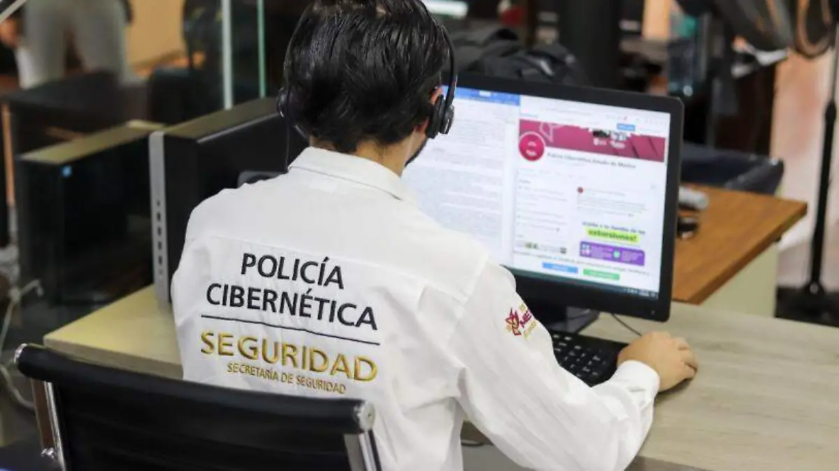 Seguridad Edomex  (3)