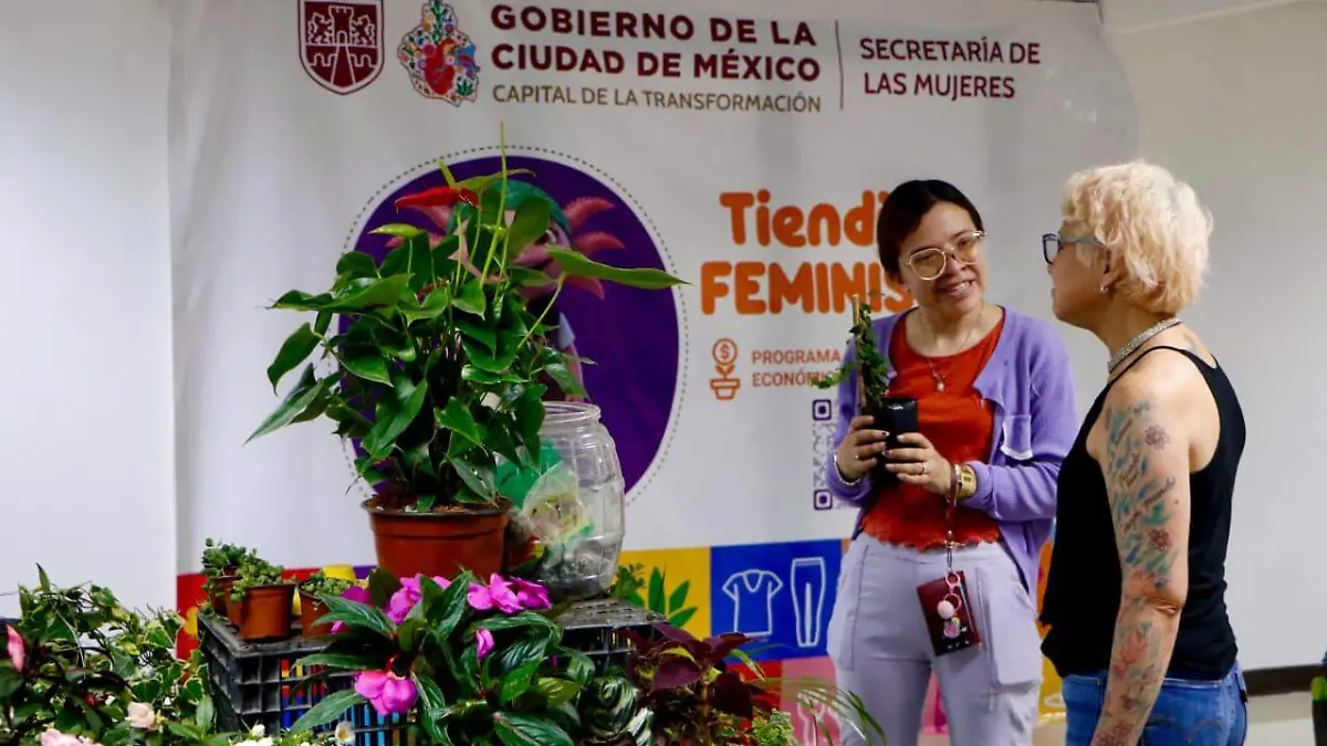 semujeres gob cdmx