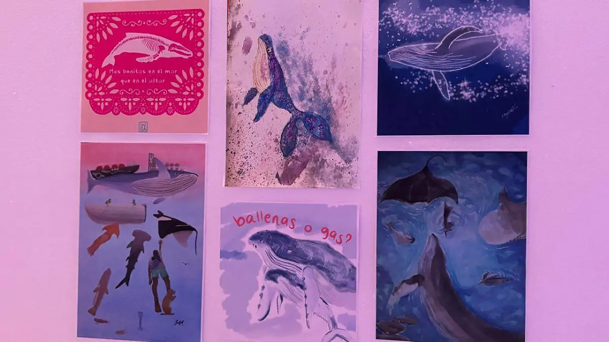 Museo Ballenas
