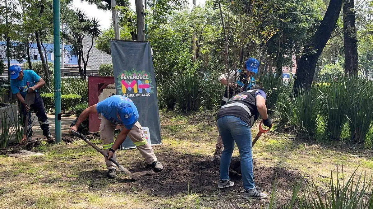 Reforestación Miguel Hidalgo  (3)