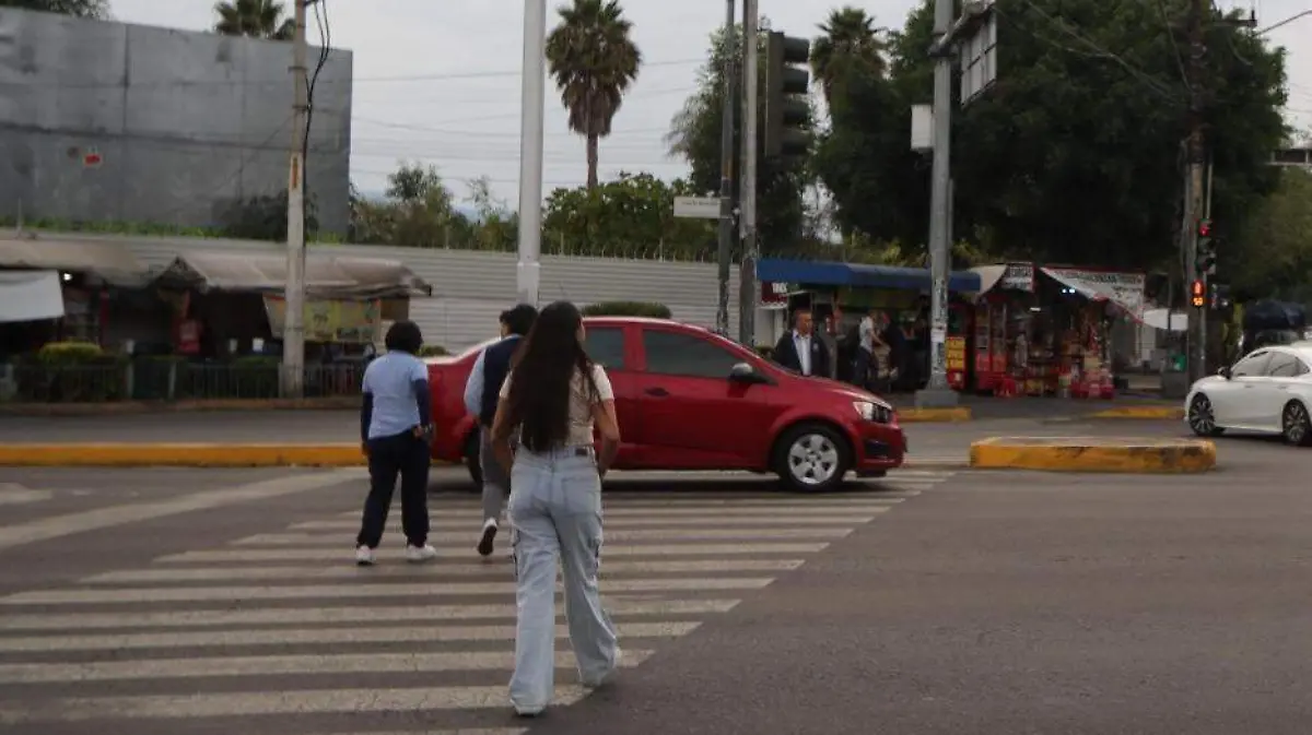 pateones cdmx GUILLERMO PANTOJA