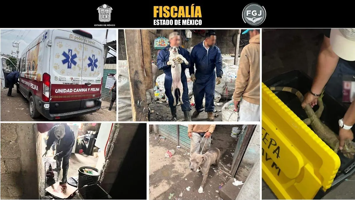 detenidos trata EDOMEX.2