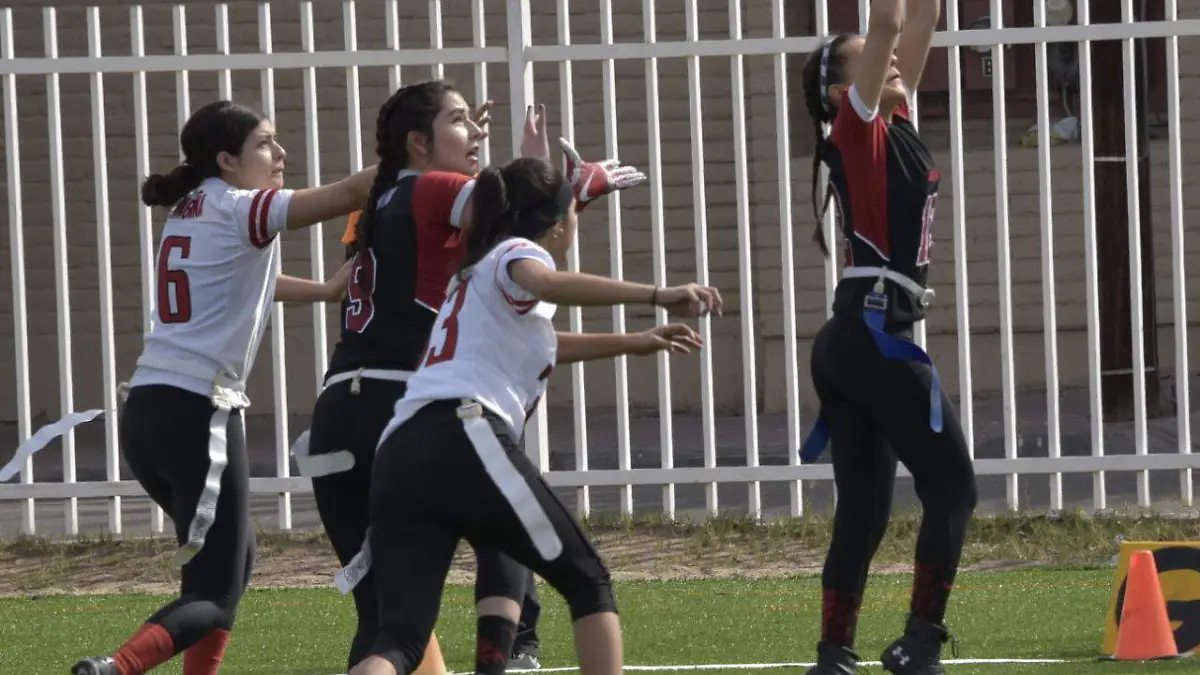 WhatsApp Image 2019-03-16 at 2.40.05 PM