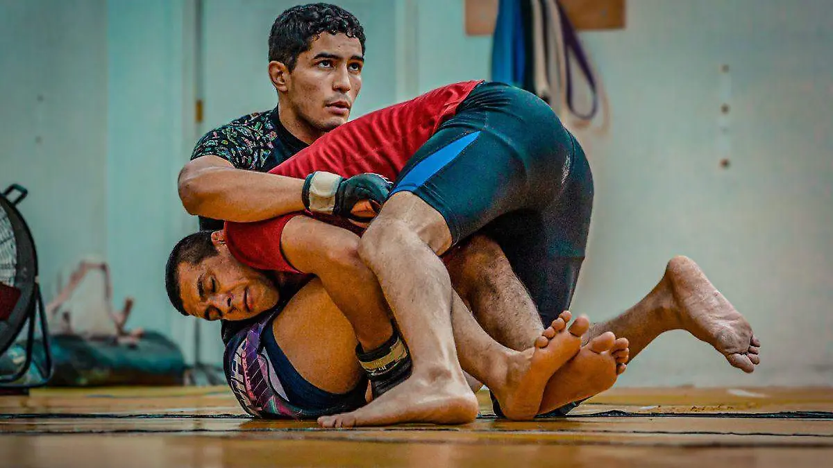 Un cachanilla con mucha fortaleza