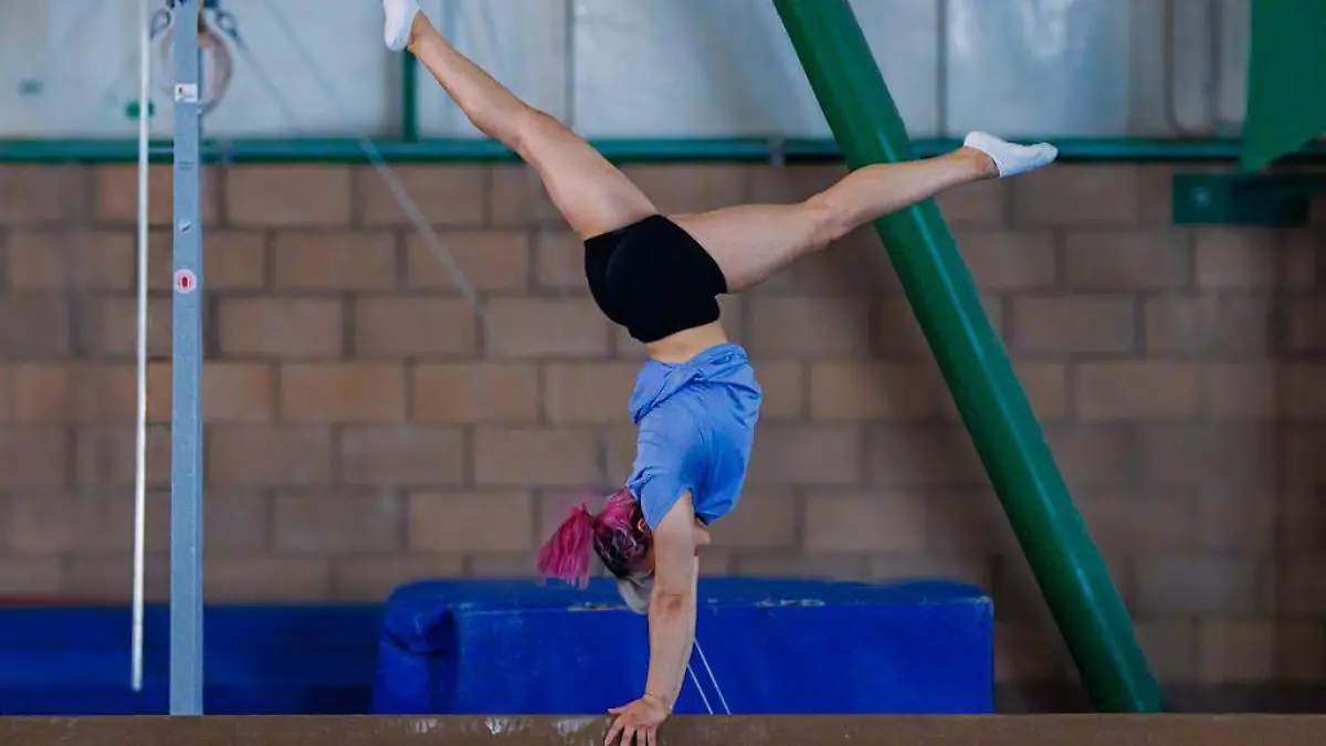 Alexa2
