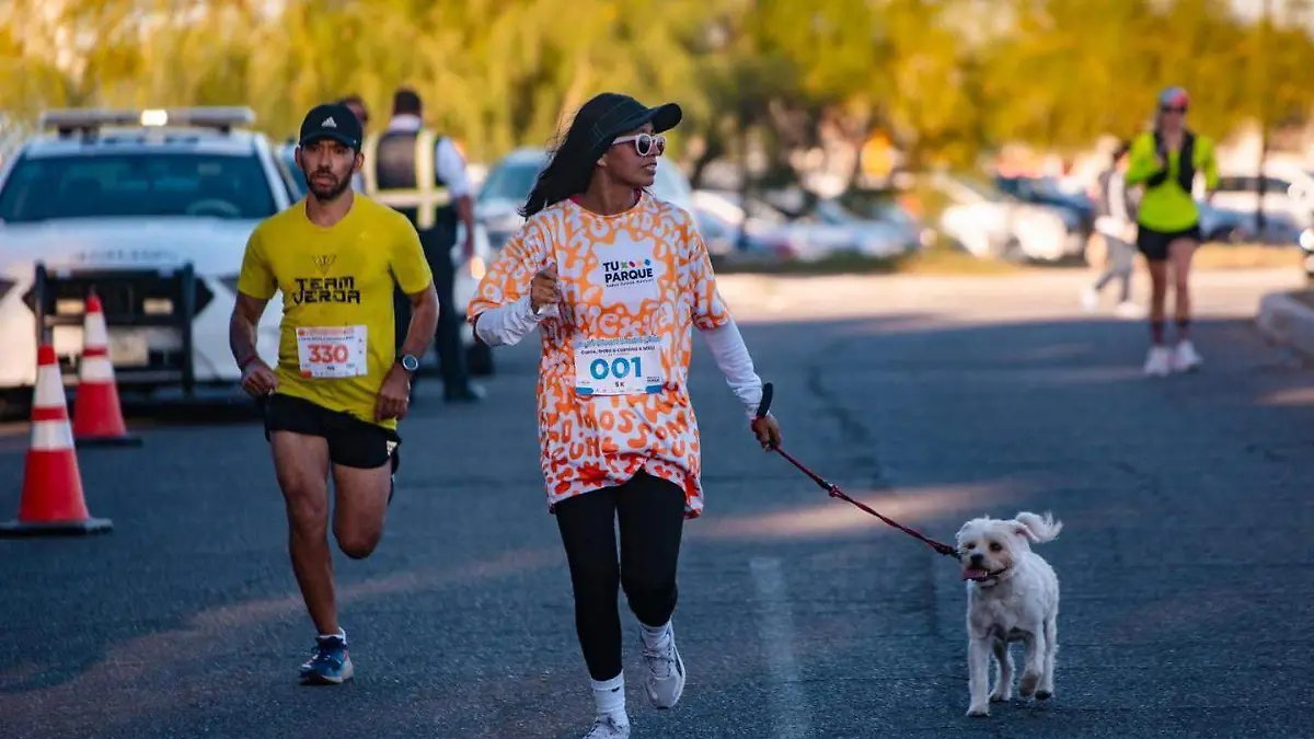 Cachanillas correrán por su parque