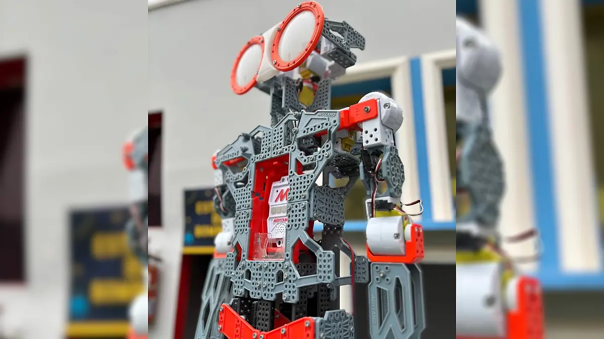 Conoce los pasos para crear un programa educativo