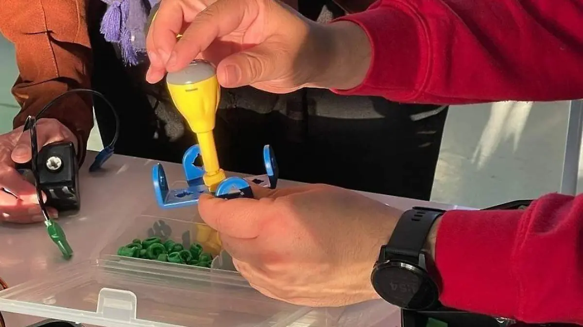 Conoce los pasos para crear un programa educativo