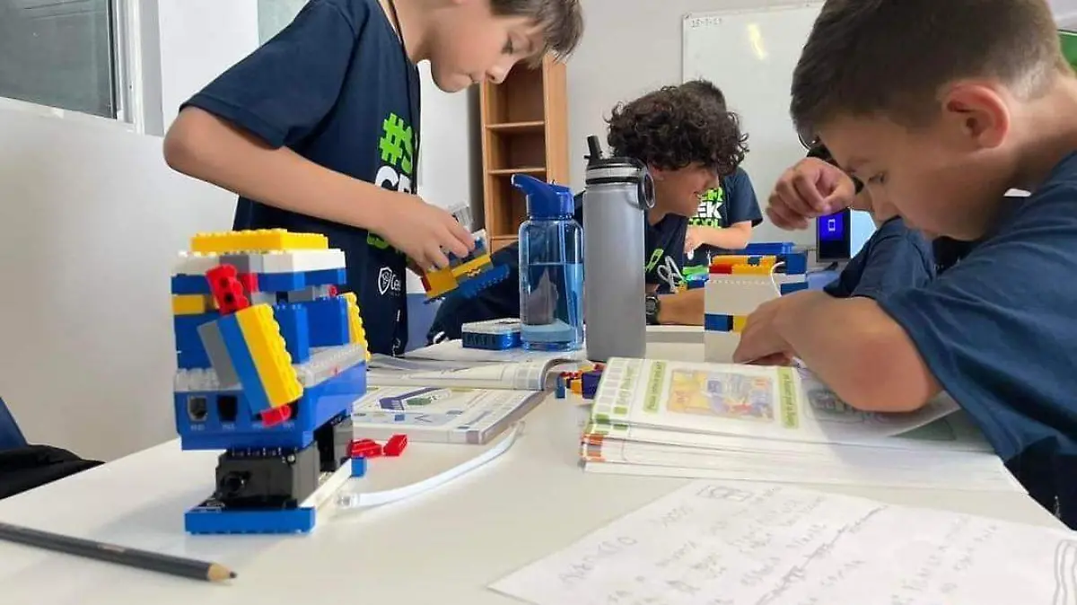 Conoce los pasos para crear un programa educativo