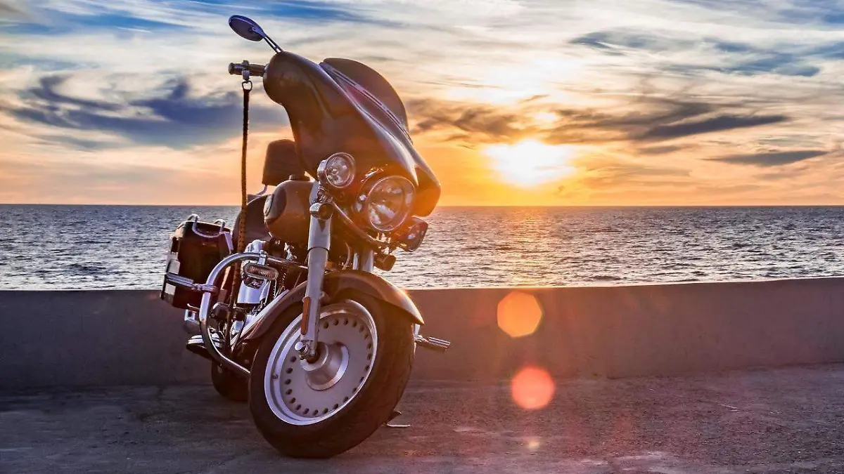 WhatsApp Image 2021-10-26 at 16.39.48