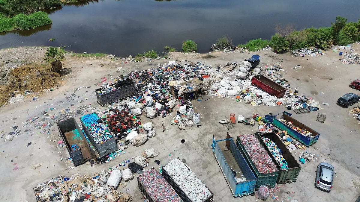  Promotora Ambiental la Laguna (PASA).