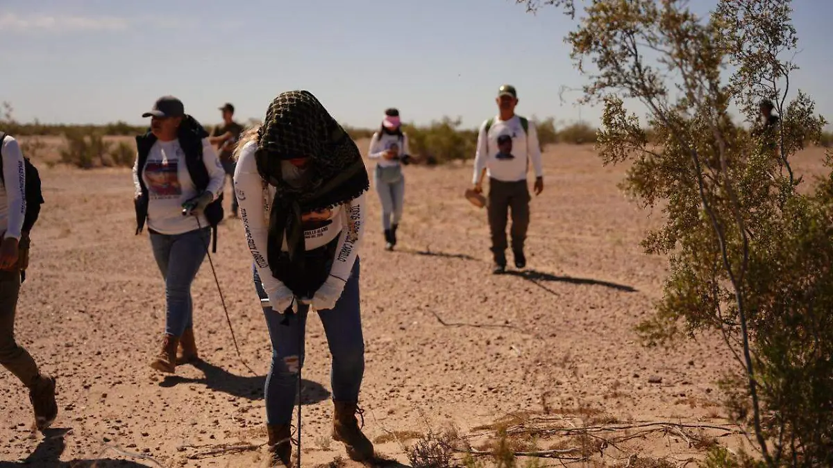 Restringen Brigada Internacional de Búsqueda en el valle de Mexicali