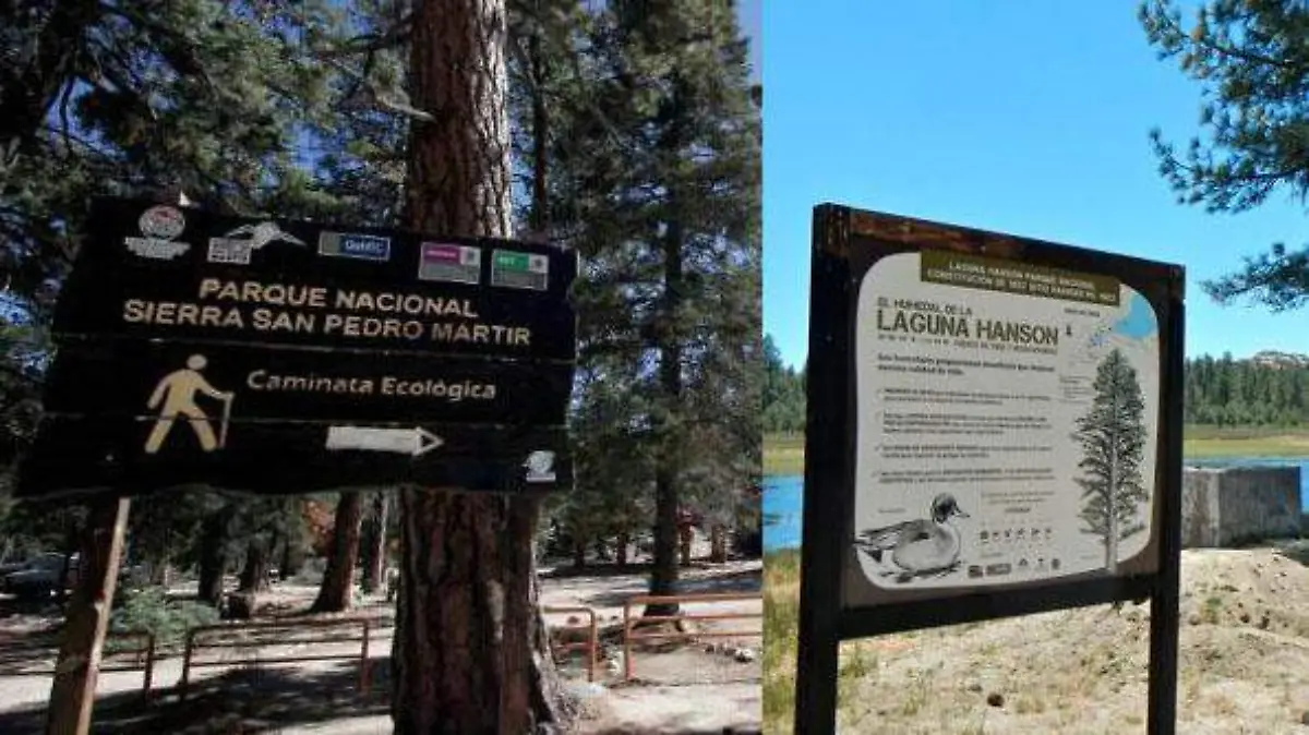 sanpedromartirlaugnahanson